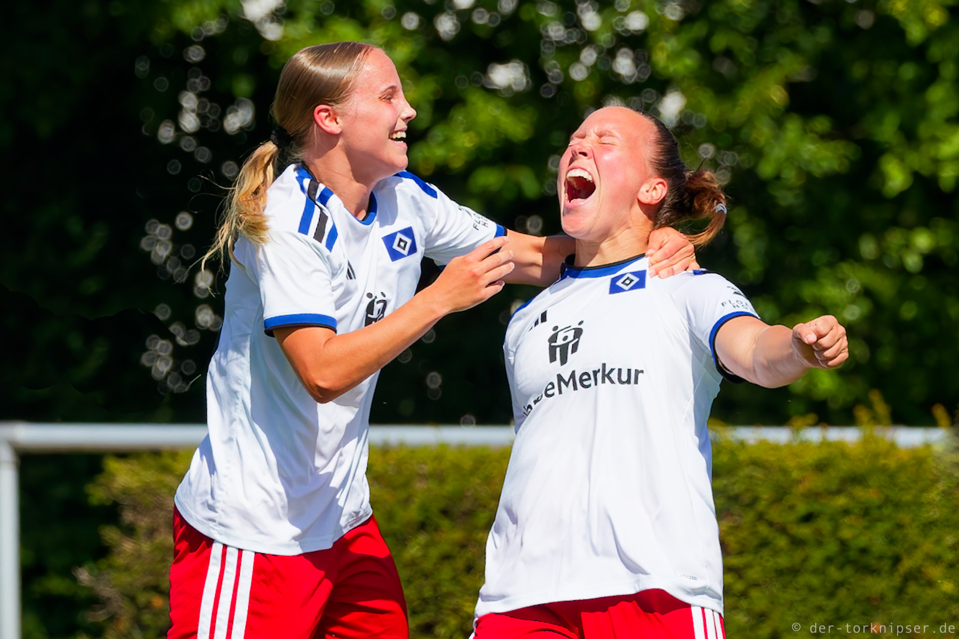 Der HSV setzt sich gegen Mainz durch